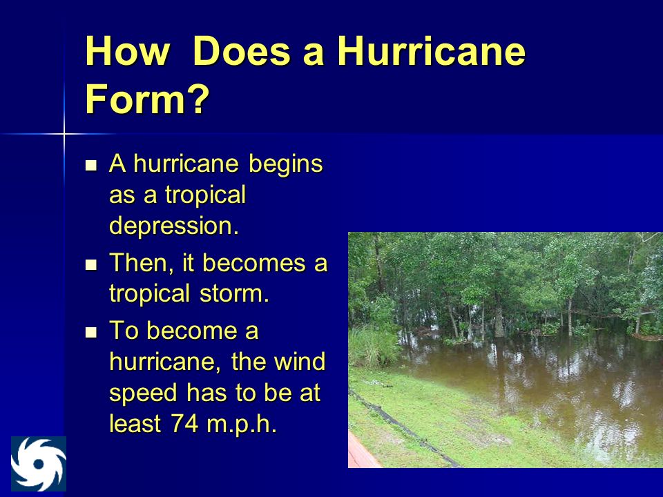 hurricane celia solomiya bavlovych class ms valenti november 3 ppt how does a hurricane form