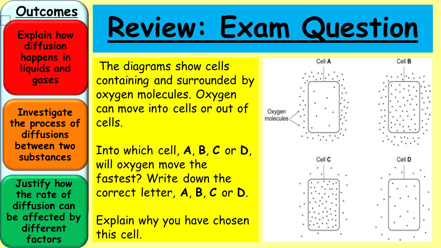 explain how the procedures of the explain how the procedures of the