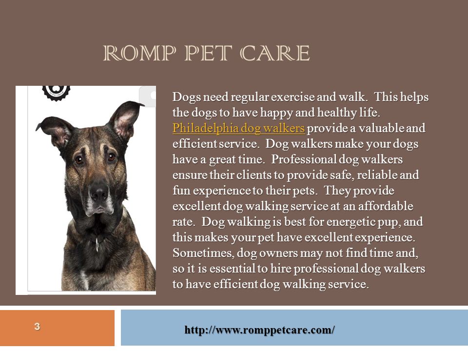 ROMP PET CARE Dogs need regular exercise and walk.