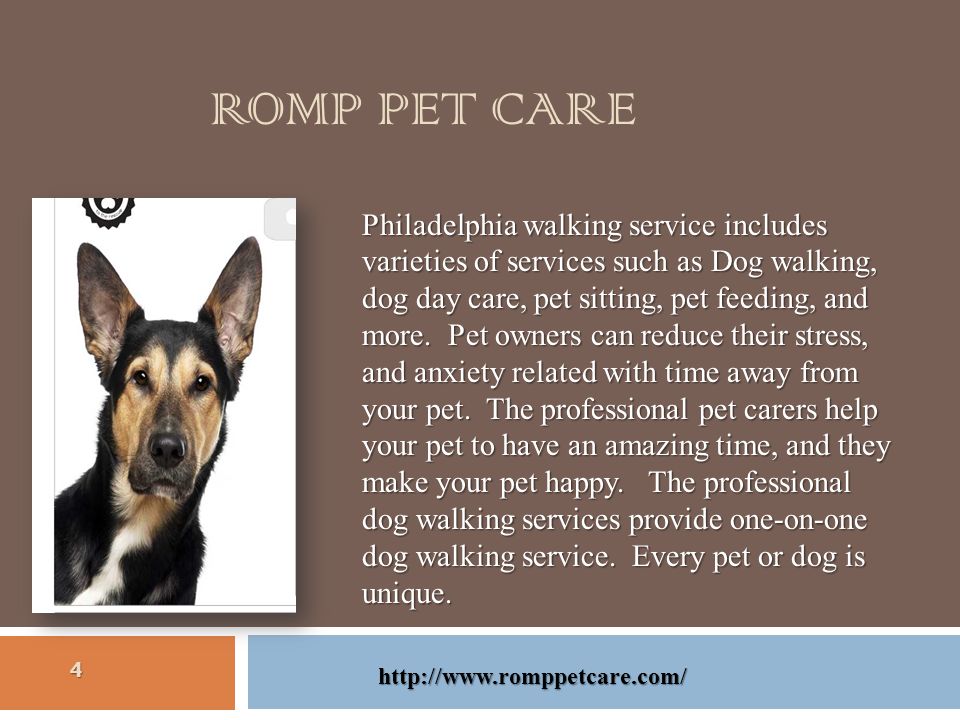 ROMP PET CARE Philadelphia walking service includes varieties of services such as Dog walking, dog day care, pet sitting, pet feeding, and more.