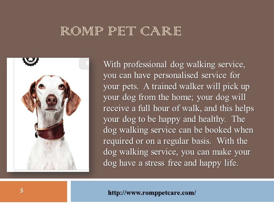 ROMP PET CARE With professional dog walking service, you can have personalised service for your pets.