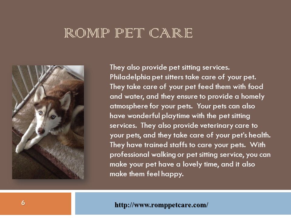 ROMP PET CARE They also provide pet sitting services.