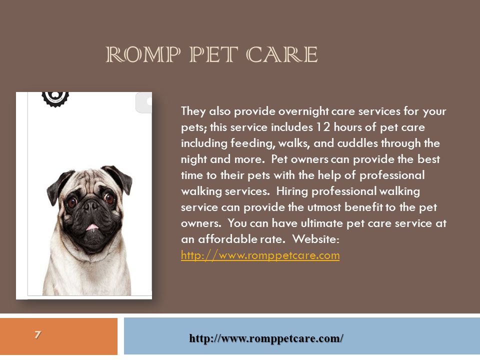 ROMP PET CARE They also provide overnight care services for your pets; this service includes 12 hours of pet care including feeding, walks, and cuddles through the night and more.
