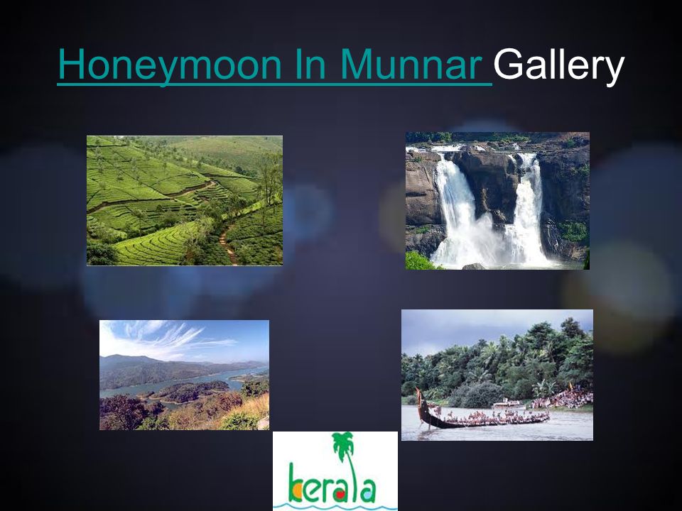 Honeymoon In Munnar Honeymoon In Munnar Gallery