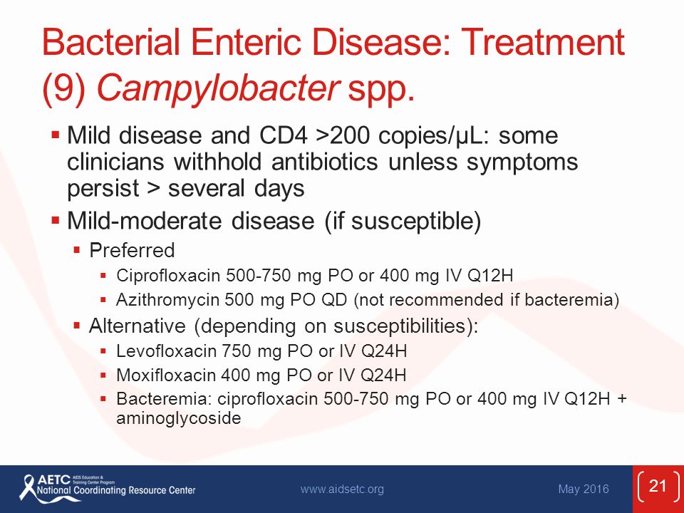 Ciprofloxacin Ans Susceptible Bacteria