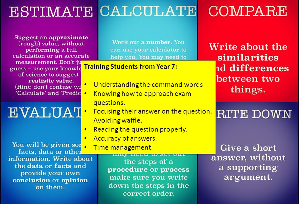 essay question for speech Hamlet essay questions buy study guide 1 explore this speech what does he mean by this famous question what events of the play prompt this speech. essay question for speech Hamlet essay questions buy study guide 1 explore this speech what does he mean by this famous question what events of the play prompt this speech.