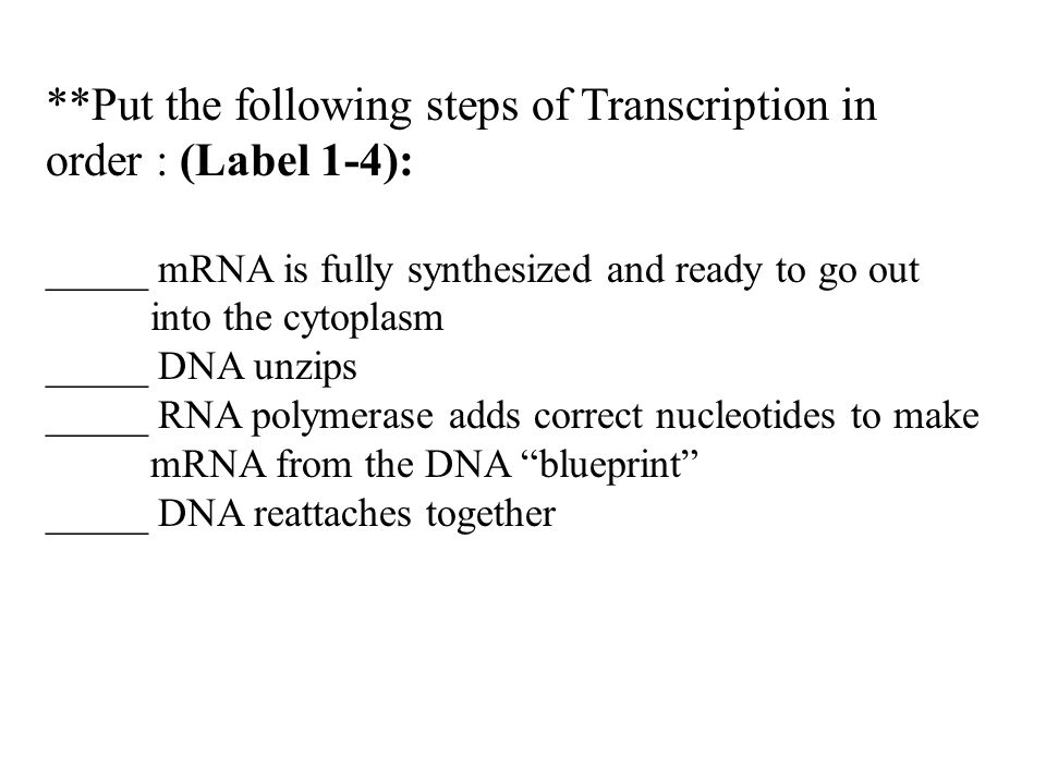 translation transcription quiz review why does transcription take nucleotides are joined by a to form the dna and rna polymers that function in the cell
