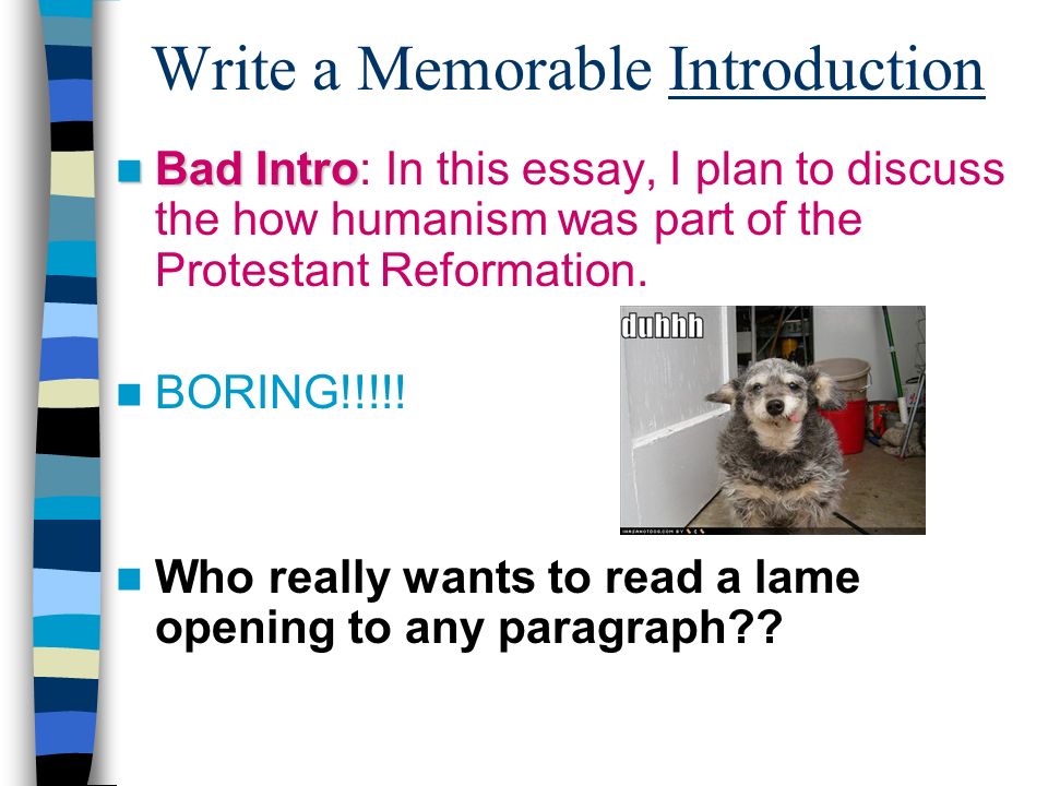 How To Write A Brilliant Essay