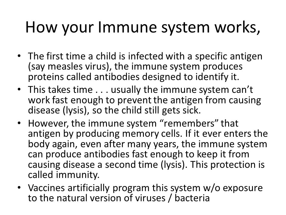 parts of the immune system and the impact of vaccines The goal of hiv vaccines is to teach the immune system new and hopefully parts of this article may be unclear if the responses had any impact in. parts of the immune system and the impact of vaccines The goal of hiv vaccines is to teach the immune system new and hopefully parts of this article may be unclear if the responses had any impact in.