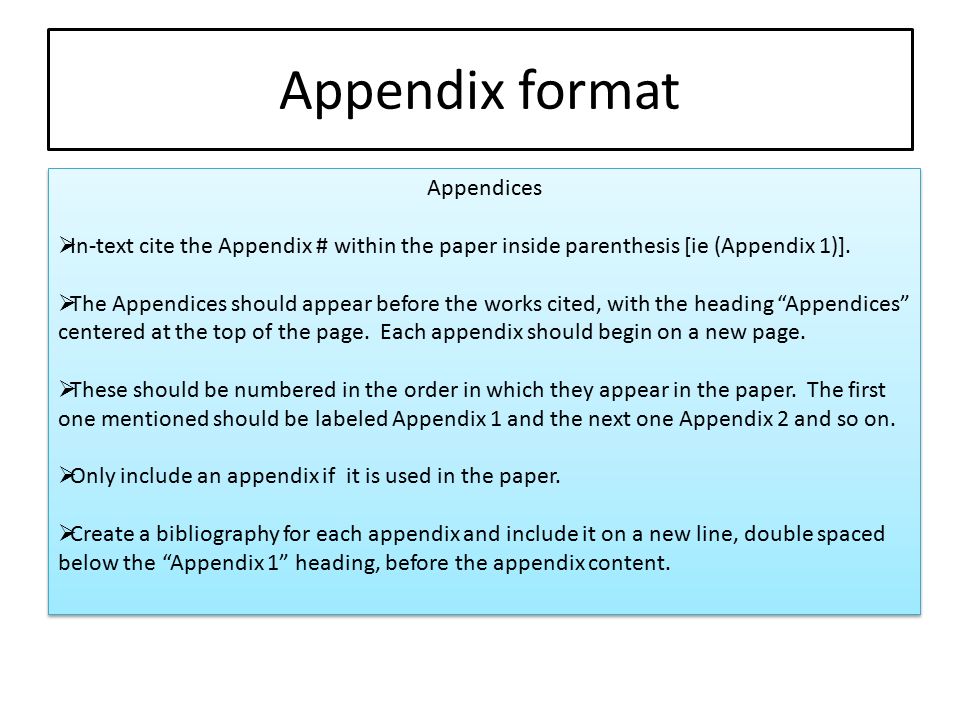 appendix essay