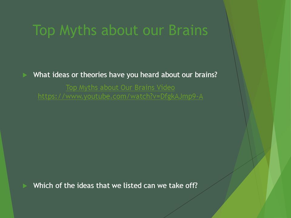 intro to the human brain todays objectives content objective i youtube how the brain works