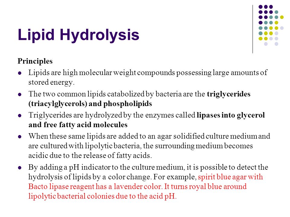 lipid hydrolysis