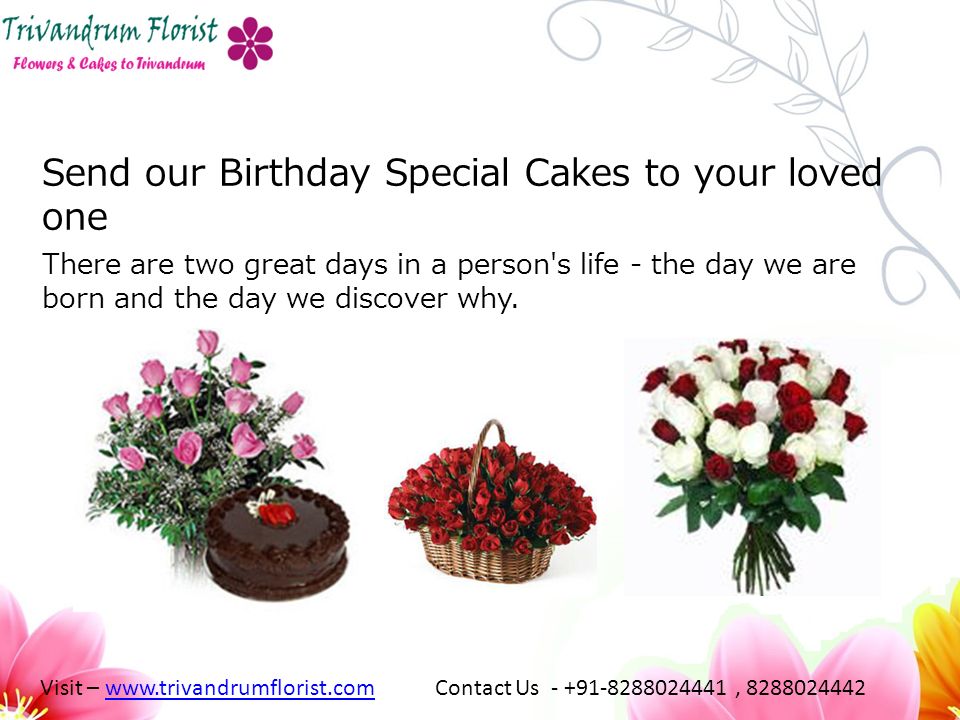 Send our Birthday Special Cakes to your loved one There are two great days in a person s life - the day we are born and the day we discover why.
