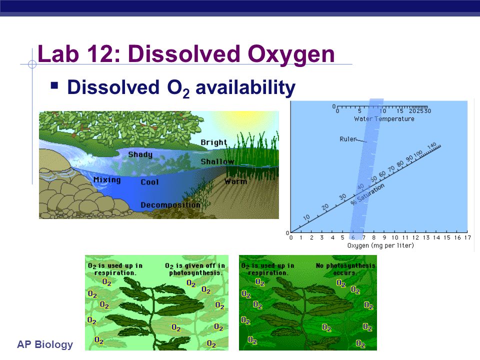 Biogeochemical Cycle Definition Related Keywords Suggestions SlidePlayer The
