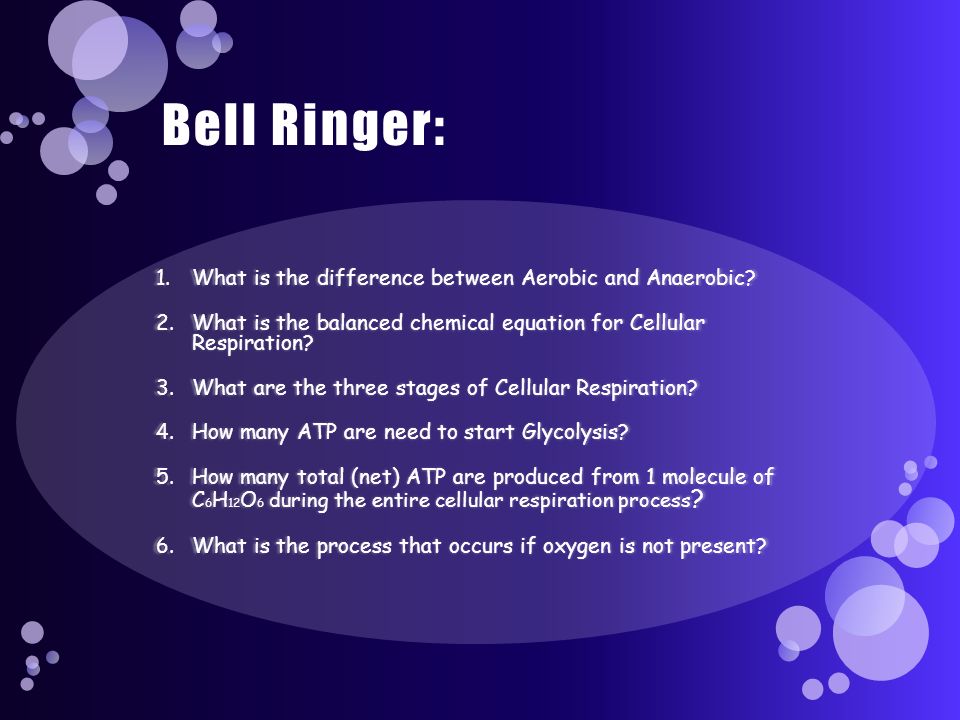 Bell Ringer 1 Draw And Label The Atp Molecule 2 What Does What Is The Difference Between Aerobic And Anaerobic