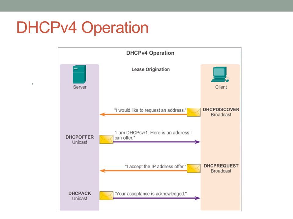 DHCPv4 Operation