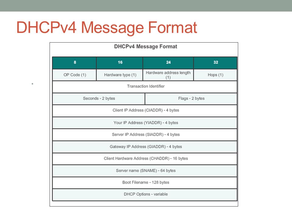 DHCPv4 Message Format
