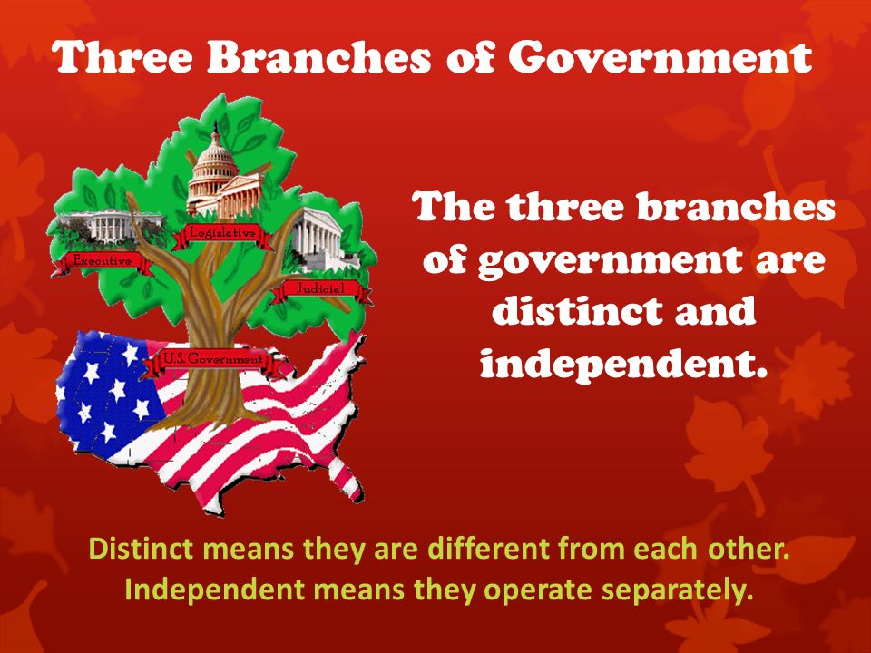 What are the three branches of government and their functions?