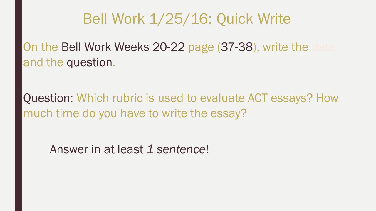Activities Essay