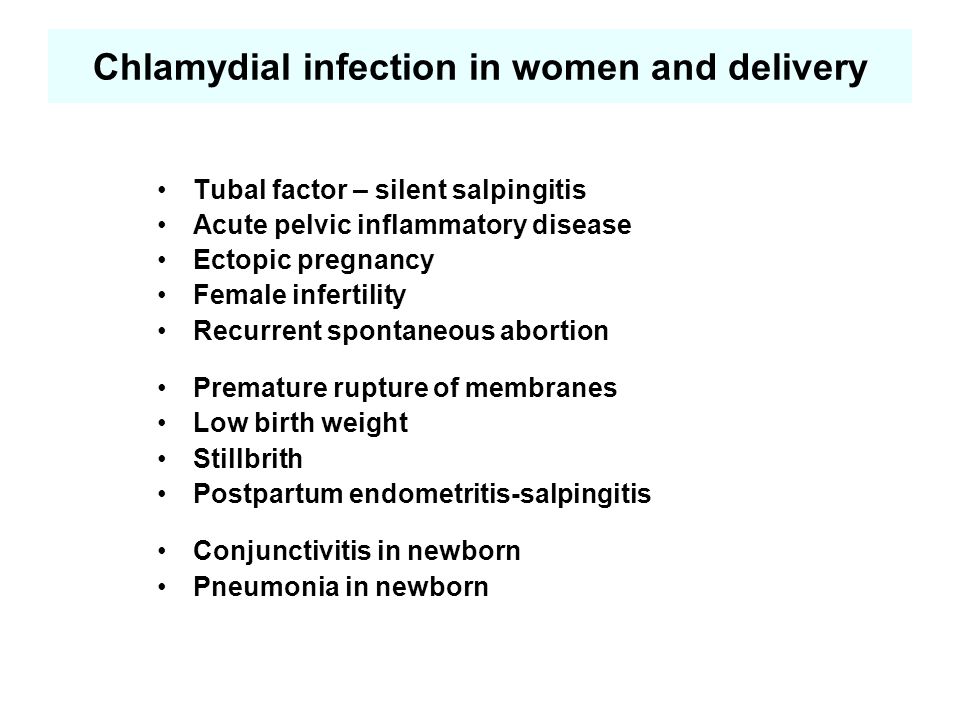 chlamydial infection Webmd wellness definition risky mistakes pet owners make some of these might surprise you. chlamydial infection Webmd wellness definition risky mistakes pet owners make some of these might surprise you.