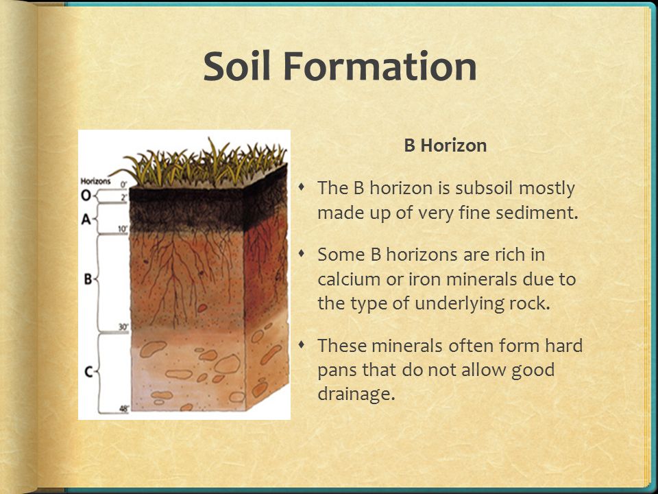 how is soil formed have you ever squished your toes in a muddy what is soil made of and how does it form