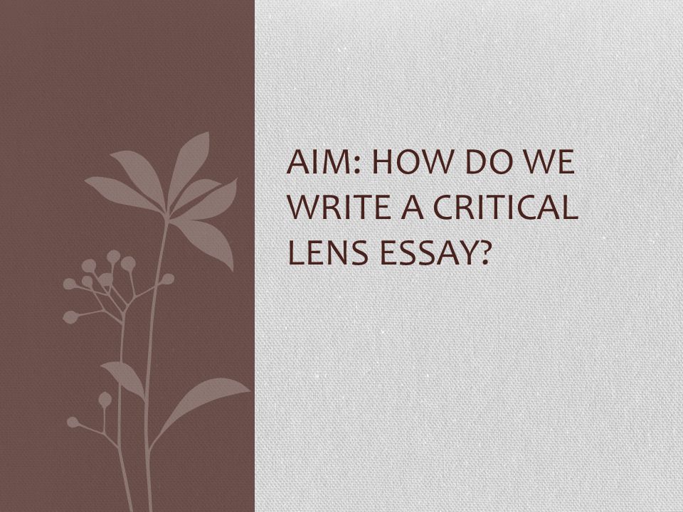 sample critical lens essay sample critical lens essay