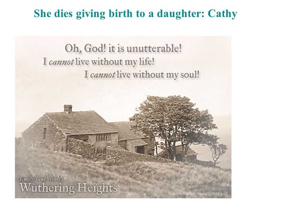 the presentation of the personalities of heathcliff and catherine in wuthering heights the presentation of the personalities of heathcliff and catherine in wuthering heights