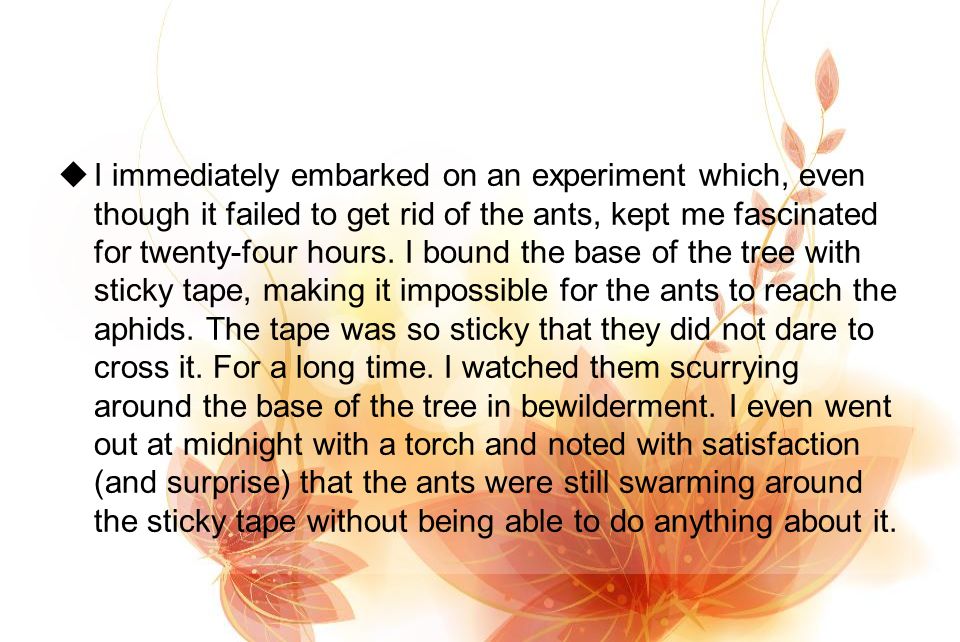  I immediately embarked on an experiment which, even though it failed to get rid of the ants, kept me fascinated for twenty-four hours.