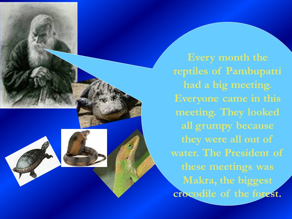 Every month the reptiles of Pambupatti had a big meeting.