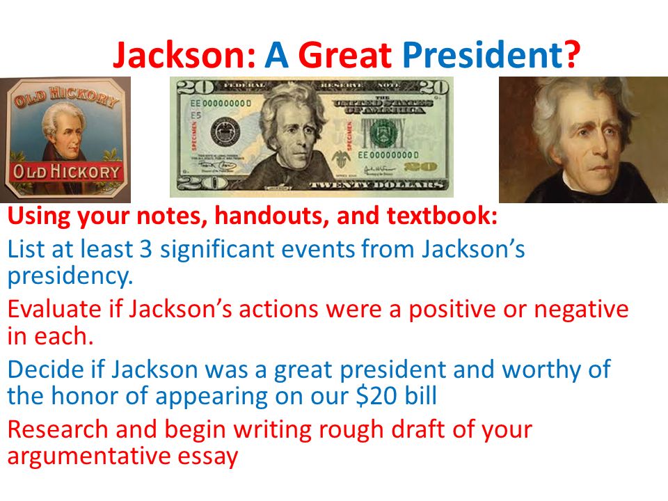 If I Were President Essay