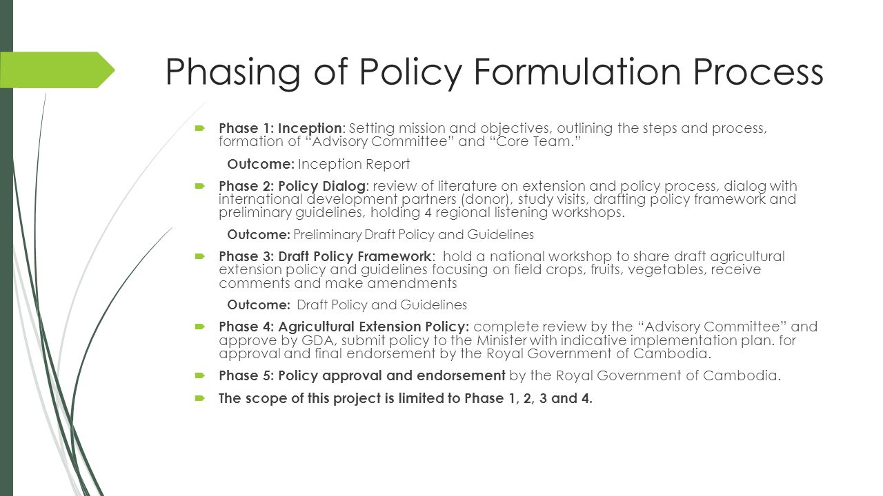 policy formulation