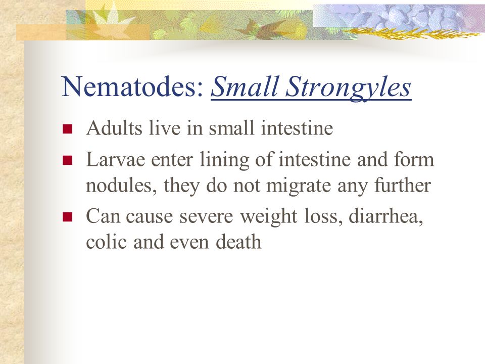 Grenade fat burners how to take picture 8