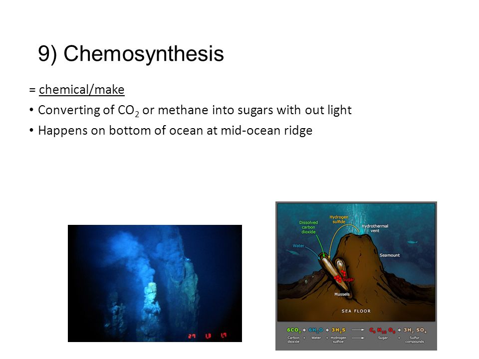 chemosynthesis of methane chemosynthesis of methane