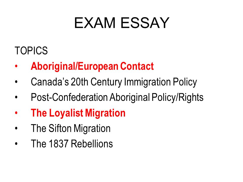 Illegal Immigration Essay