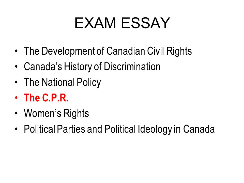 Essay Immigration
