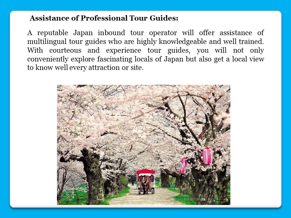 Assistance of Professional Tour Guides: A reputable Japan inbound tour operator will offer assistance of multilingual tour guides who are highly knowledgeable and well trained.