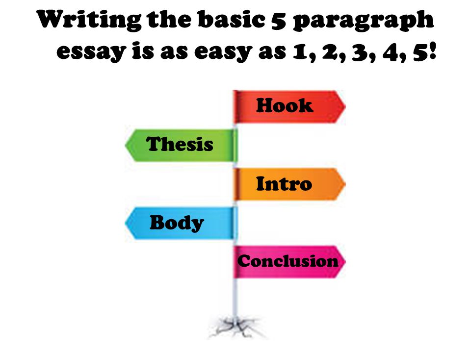 essay what is success The essay on success is merely viewed to be a phenomenon of discussing success, which matters a lot to the people and what it looks like to them. essay what is success The essay on success is merely viewed to be a phenomenon of discussing success, which matters a lot to the people and what it looks like to them.