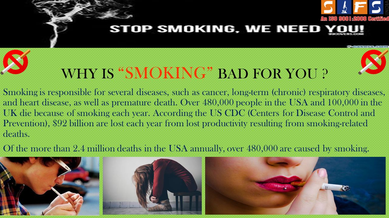 speech on why smoking is bad As we can see smoking is a very bad habit and is not the bottom line: smoking kills it is up to you to take a persuasive speech about why smoking should. speech on why smoking is bad As we can see smoking is a very bad habit and is not the bottom line: smoking kills it is up to you to take a persuasive speech about why smoking should.
