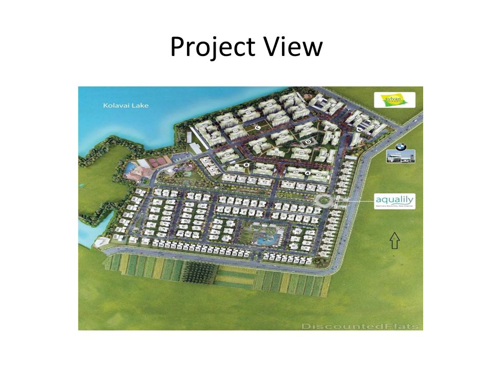Project View