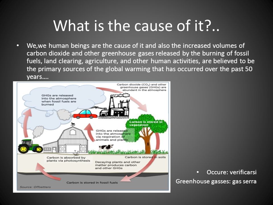 the causes of global warming essay Essay title: causes of global warming sea levels rising, shrinking glaciers, longer growing seasons, and drought plagued regions, are all a result of global warming this is a real threat to human existence, not just in america, but world-wide. the causes of global warming essay Essay title: causes of global warming sea levels rising, shrinking glaciers, longer growing seasons, and drought plagued regions, are all a result of global warming this is a real threat to human existence, not just in america, but world-wide.