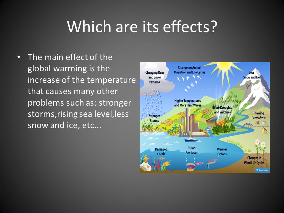 Essays On Global Warming