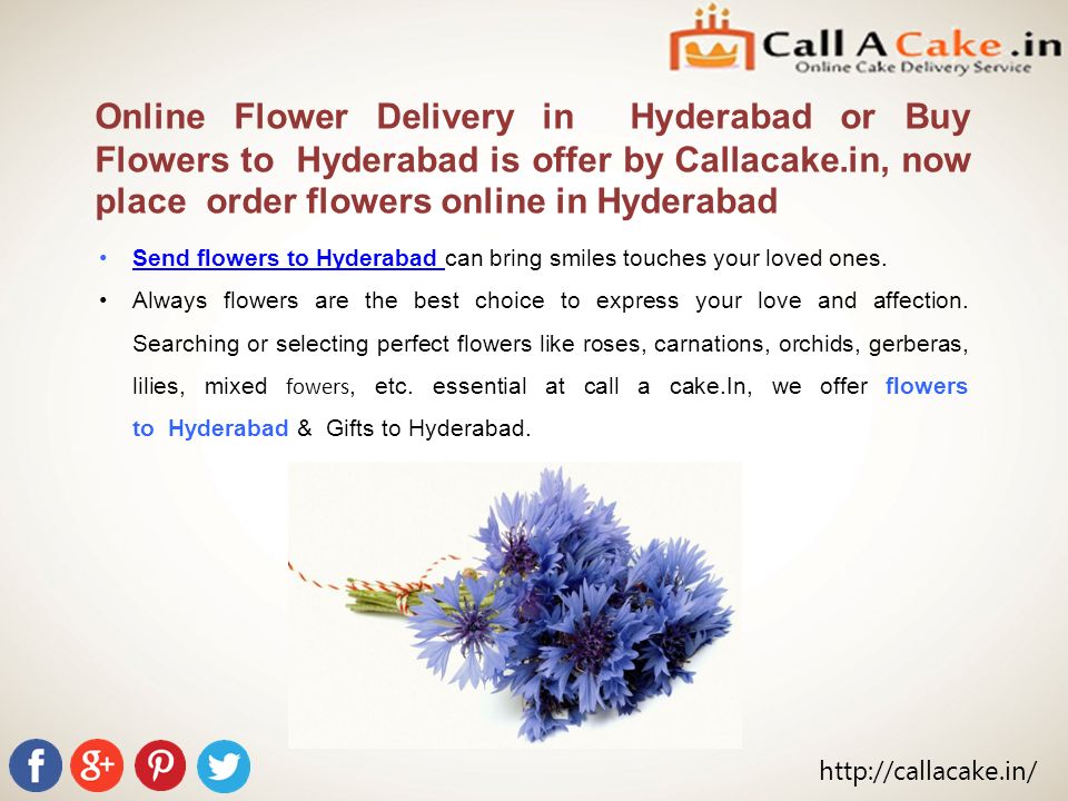Send flowers to Hyderabad can bring smiles touches your loved ones.Send flowers to Hyderabad Always flowers are the best choice to express your love and affection.