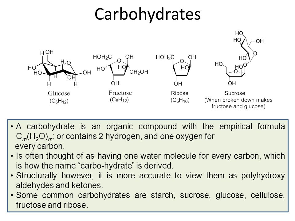 carbohydrates zachary r woydziak ph d chem ppt download common carbohydrates