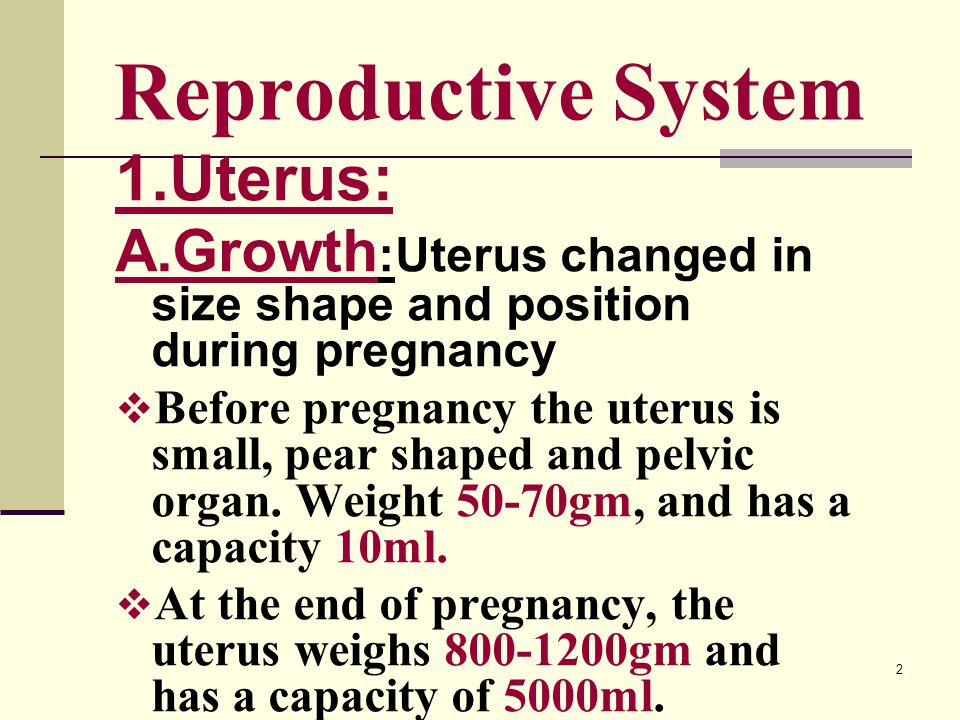 Adaptations pregnancy