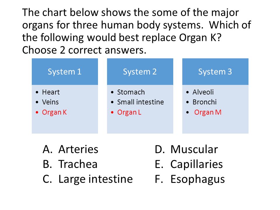 systems chart Disclaimer: your doctor/provider has elected to provide you with access to osf mychart this osf mychart service is provided by osf healthcare system to. systems chart Disclaimer: your doctor/provider has elected to provide you with access to osf mychart this osf mychart service is provided by osf healthcare system to.