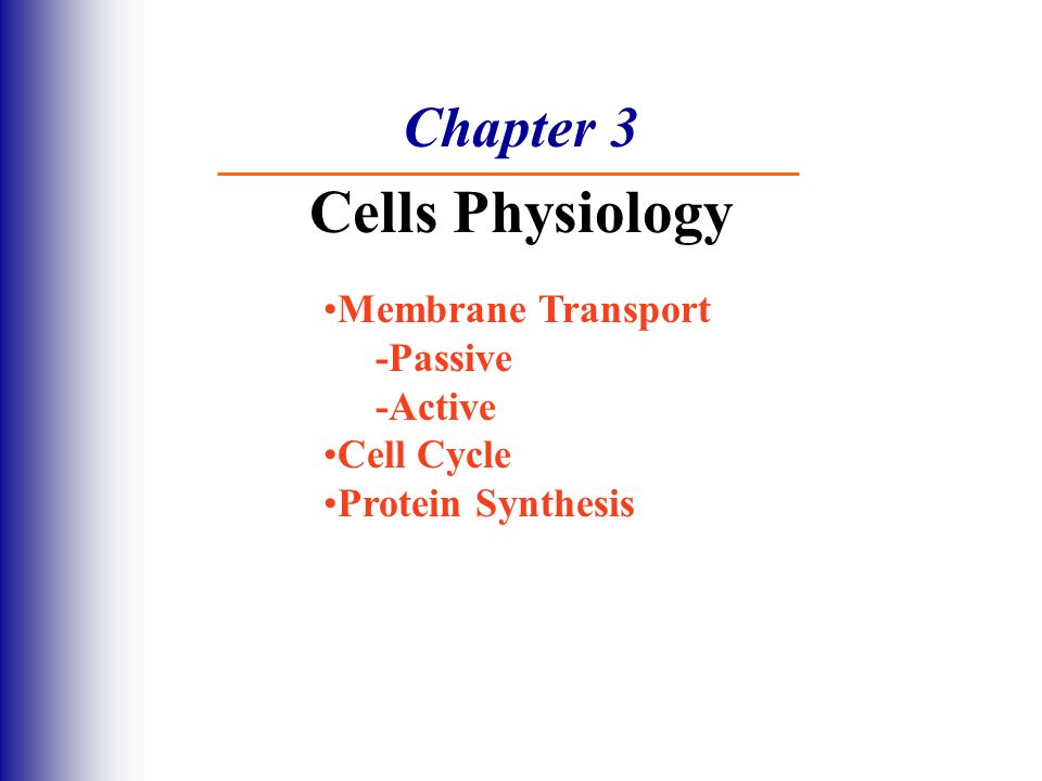 Chapter 3 Cells Physiology Membrane Transport Passive Active 1 Chapter 3 Cells Physiology Membrane Transport Passive Active Cell Cycle Protein Synthesis