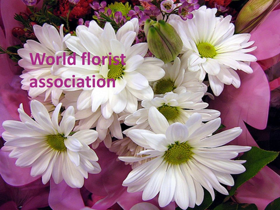 World florist association