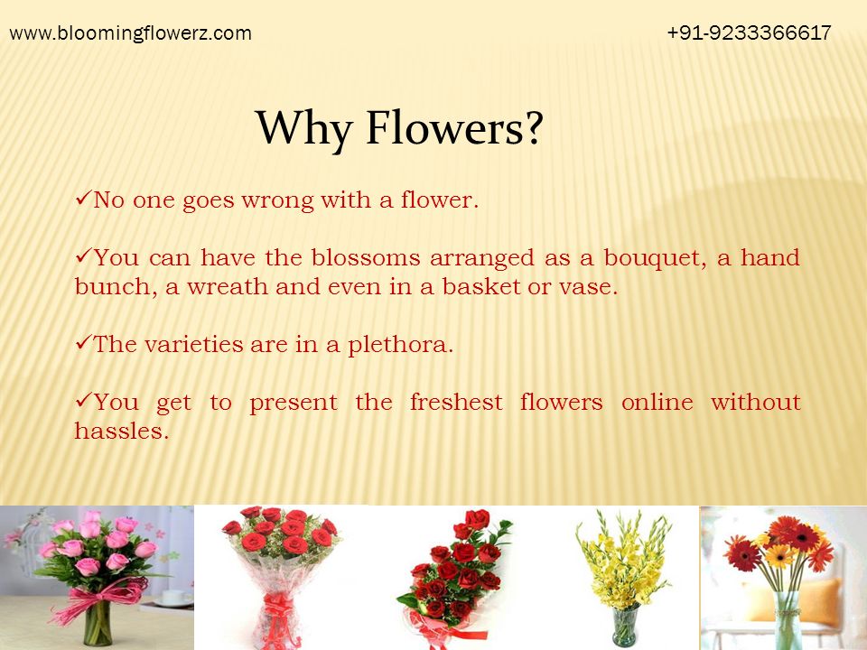 Why Flowers.