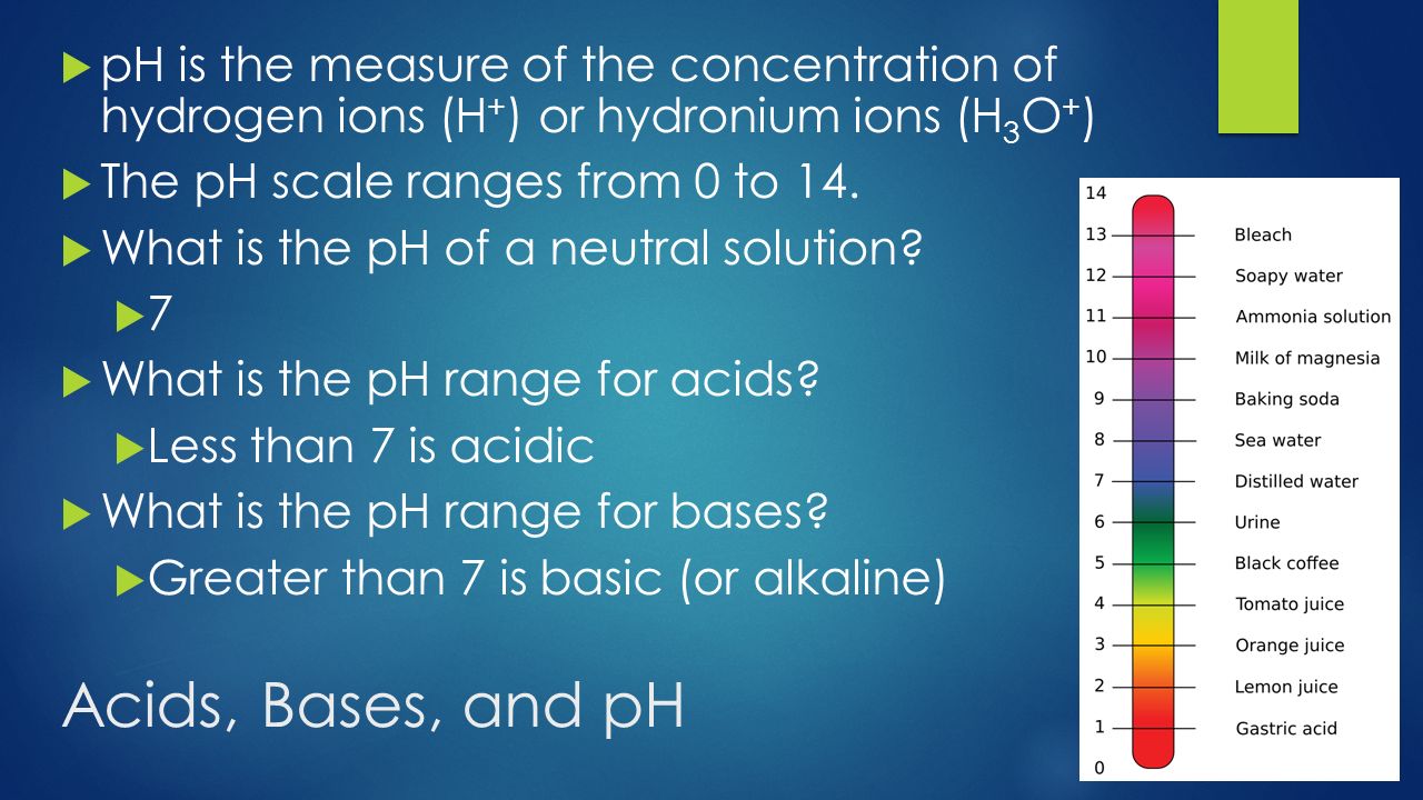 acids bases and p h scales essay Learn strong & weak acids and bases list using graphic organizers what is ph find out & create a ph scale chart with different levels of acidity & alkalinity. acids bases and p h scales essay Learn strong & weak acids and bases list using graphic organizers what is ph find out & create a ph scale chart with different levels of acidity & alkalinity.