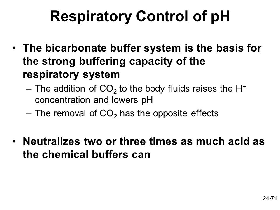 1 Chapter 24 Lecture Outline Copyright Mcgraw Hill Education 71 24 Respiratory Control Of Ph The Bicarbonate Buffer System